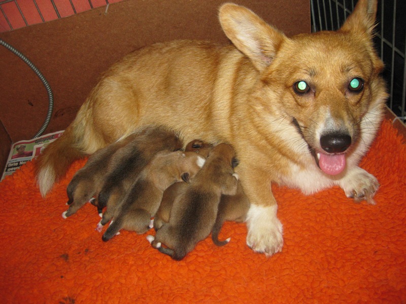 1 Day old